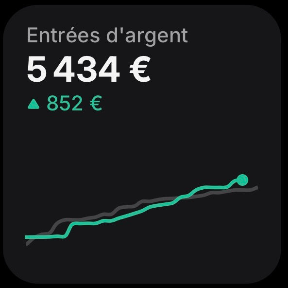 L’oracle Numérique - Tiktok