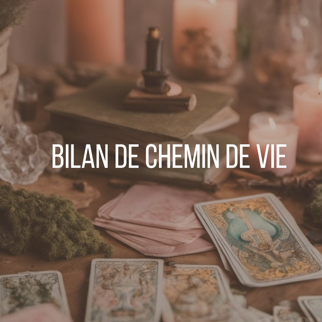 Bilan chemin de vie