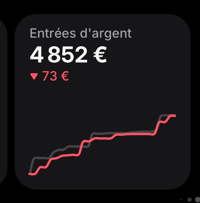 L’oracle Numérique - Tiktok