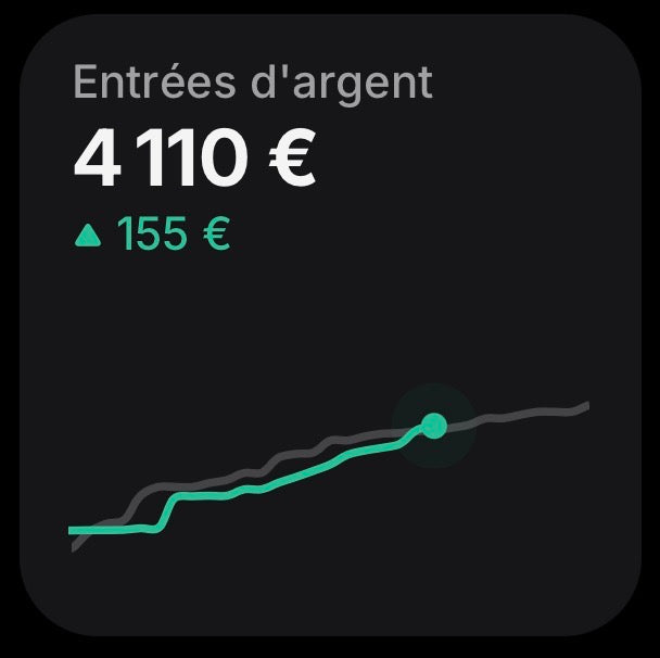 L’oracle Numérique - Tiktok